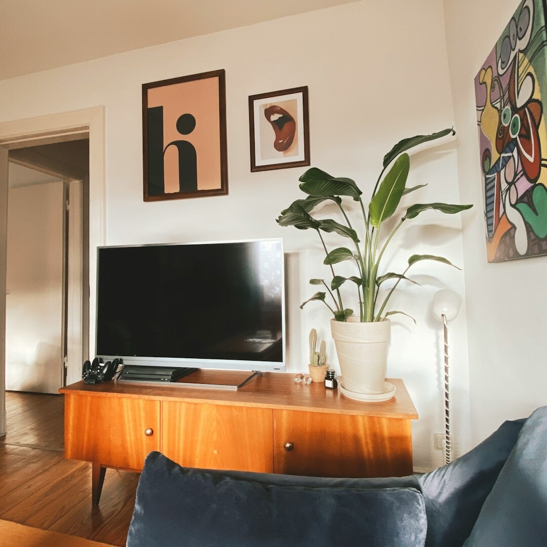 vintage television set living room