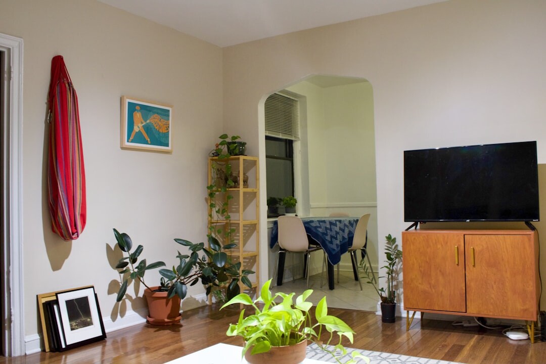 vintage television set living room